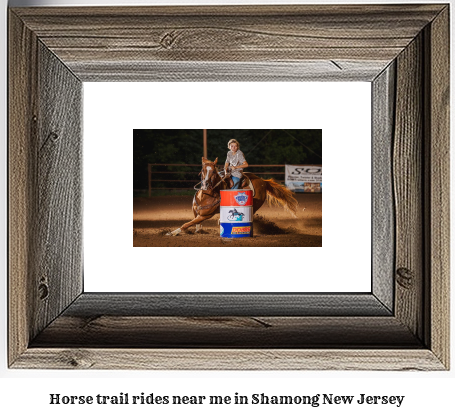 horse trail rides near me in Shamong, New Jersey